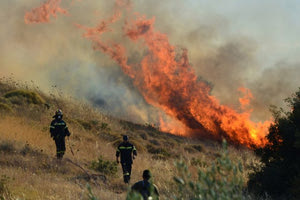 Ιεράπετρα: Το χρονικό της καταστροφικής πυρκαγιάς και ο αγρότης που οδηγείται στη δικαιοσύνη