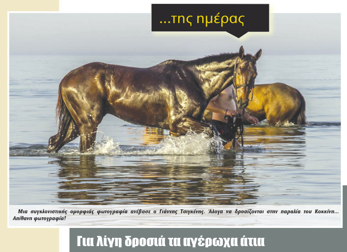 της-ημερας-αλογο