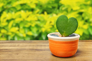 Καρδιά – Εξετάσεις: Πέντε τιμές που δείχνουν ότι λειτουργεί ρολόι