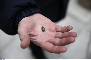 Η αδέσποτη σφαίρα… προσγειώθηκε σε κοντινό σπίτι!