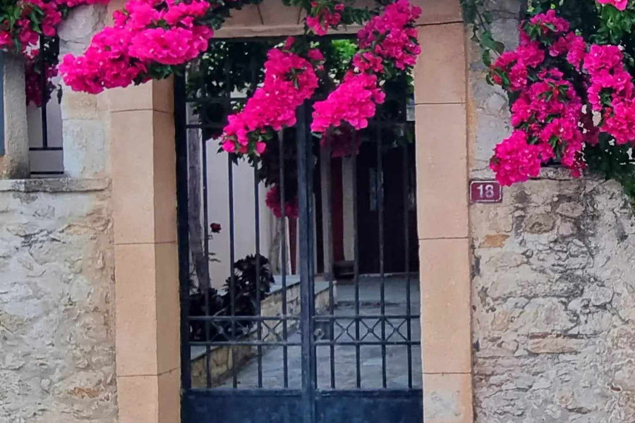 Ιούνιος ήρθε, μαζί του και το Καλοκαίρι!