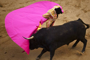 Κολομβία: Το κοινοβούλιο της χώρας απαγόρευσε τις ταυρομαχίες