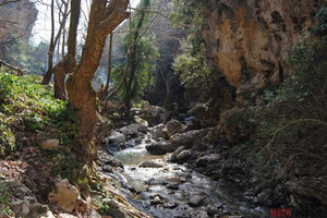 Τέλος καλό, όλα καλά για τουρίστρια που τραυματίστηκε στο Φαράγγι Πλατανιών