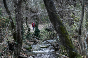 Πράσινο Ταμείο: 30 εκατ. ευρώ για προληπτικά μέτρα πυροπροστασίας