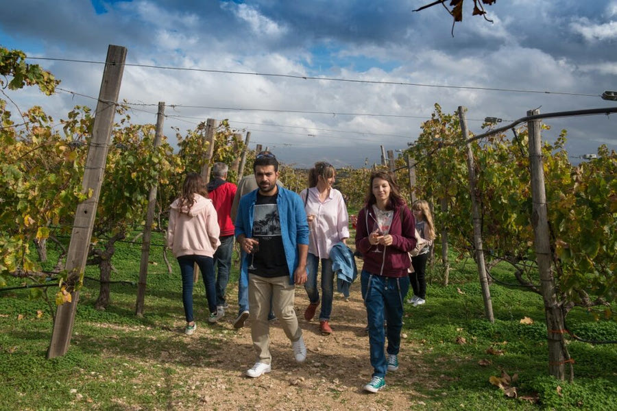 Ένα διήμερο γεμάτο κρητικό κρασί