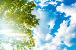 Ανοιξιάτικος καιρός με υψηλές θερμοκρασίες σε όλη τη χώρα