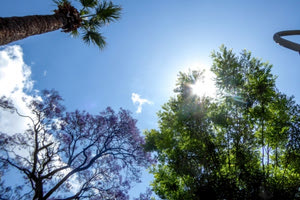 Τι καιρό θα έχουμε την εβδομάδα του Δεκαπενταύγουστου