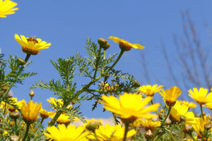 Μάης ήρθε… μαγικός, μυστικός, Πασχαλιάτικος και πολύχρωμος!