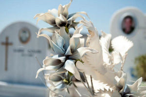 Όχι κηδείες τα Σαββατοκύριακα και τις επίσημες αργίες – Παράνομες οι ταφές