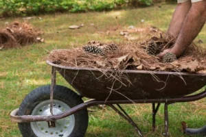 Πήραν παράταση οι δηλώσεις καθαρισμού οικοπέδων