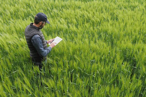 ΟΠΕΚΕΠΕ: Πληρώθηκε η 1η εκκαθάριση του «ΚΟΜΦΟΥΖΙΟ» ύψους 1,4 εκατ. ευρώ