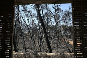 Μάτι: Η Εισαγγελεία Εφετών άσκησε έφεση για το σύνολο της απόφασης