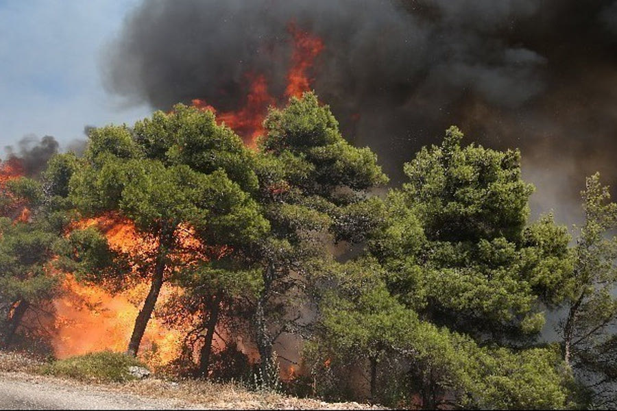 Εκπνέει η προθεσμία για τις αντιπυρικές ζώνες: Δεν ανταποκρίθηκαν οι ιδιοκτήτες, σε… αναμμένα κάρβουνα οι Δήμοι
