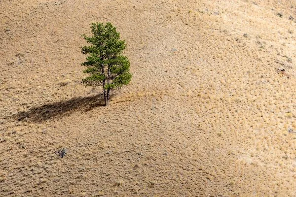 Κίνδυνος λειψυδρίας στη Μεσόγειο: «Στη θερμοκρασία μπορούμε να προσαρμοστούμε αλλά όχι στο νερό»