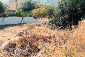 Ακαθάριστα οικόπεδα: Λήγει σήμερα η προθεσμία για τις δηλώσεις – Τι πρέπει να γνωρίζετε για τα πρόστιμα