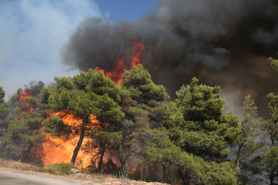 Πυροσβεστική: 41 πυρκαγιές εκδηλώθηκαν το τελευταίο 24ωρο