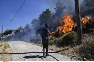 Κερατέα: Αστυνομικοί απομάκρυναν ζευγάρι και σβήνουν τις φλόγες από την αυλή του σπιτιού
