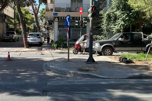 Το δέντρο κόπηκε, τι θα γίνει με τα υπόλοιπα που έχει προτείνει η Διεπιστημονική Επιτροπή;