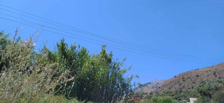 ΒΟΑΚ: Φορτηγό έκοψε καλώδια της ΔΕΗ, από θαύμα δεν υπήρξαν θύματα
