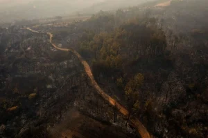 Η πυρκαγιά στον Έβρο μέσα από τα «μάτια» μαθητών – Βραβείο σε ντοκιμαντέρ για τα καμένα