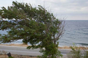 Μέχρι και 7 μποφόρ σήμερα οι άνεμοι στο Αιγαίο