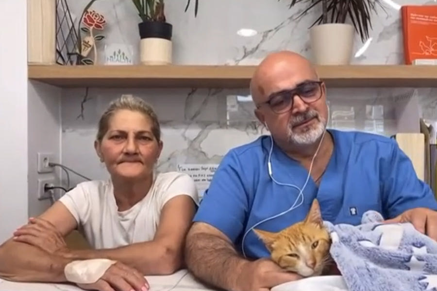 Κακοποίηση ζώου: Γατάκι με κομμένα τα τρία από τα τέσσερα πόδια του – Το έκανε «άνθρωπος» εκτιμά κτηνίατρος