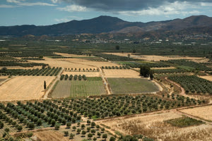 Πιέζουν για νέες γεωτρήσεις – αγωνία για το νερό στη Μεσσαρά