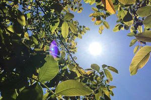 Σε κλοιό καύσωνα από σήμερα η χώρα