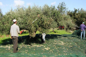 Αγροτική πολιτική με συνέπεια και αποτέλεσμα:  Η κυβέρνηση φέρνει το Ηράκλειο πιο κοντά στην Ευρώπη