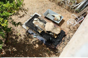 Φρίκη στα Άνω Λιόσια: Νεκρός από τον Φεβρουάριο ο ηλικιωμένος – «Τον έκαψα χθες γιατί δεν άντεχα τη δυσοσμία» λέει ο γιος του