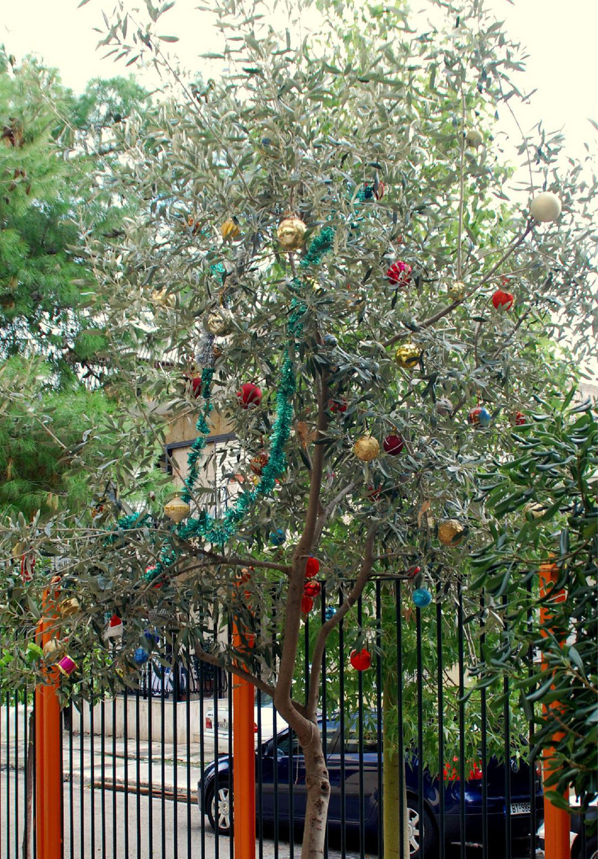 Ελια στο δημοτικό σχόλιο Κερατσινίου 