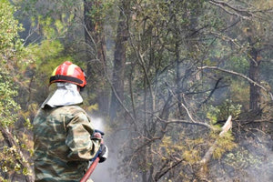 Φωτιά σε δάσος στην Αρκαδία- Ισχυρή πυροσβεστική δύναμη στο σημείο