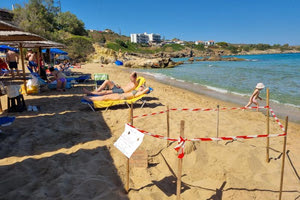 Χανιά: Φωλιά θαλάσσιας χελώνας και στην παραλία του Καλαθά