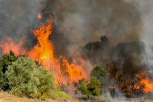 Πυρκαγιές σε Ασπρόπυργο, Σπάρτη και Καλάβρυτα