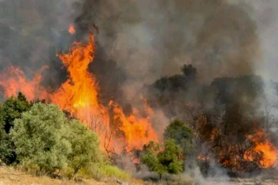 Πυρκαγιές σε Ασπρόπυργο, Σπάρτη και Καλάβρυτα