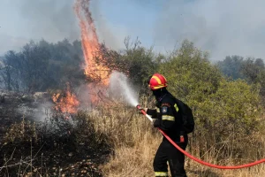 Πυροπροστασία ακινήτων – ακαθάριστα οικόπεδα: Λήγει σήμερα η προθεσμία