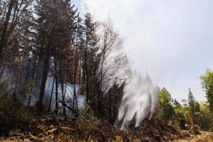 Μυτιλήνη: Φωτιά καίει ελαιώνες στην περιοχή της Μόριας