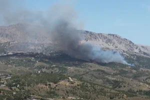 Χίος: Στάχτη 270 στρέμματα, δάσος και καλλιέργειες, από την μεγάλη πυρκαγιά στις Καρυές