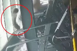 Τραγικός θάνατος:  Έχασε την ισορροπία της στον διάδρομο του γυμναστηρίου και έπεσε από παράθυρο!