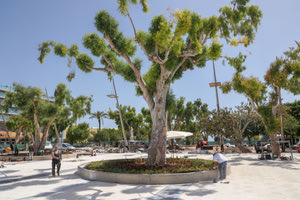 Ανακούφιση για την… αποκαθήλωση των πυλώνων και αγωνία για τους νέους ιστούς φωτιστικών