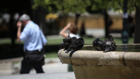 ΕΜΥ: Πολύ υψηλές θερμοκρασίες μέχρι τη Δευτέρα