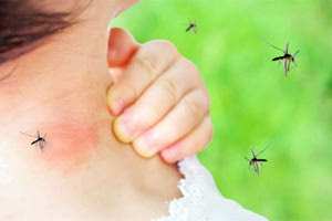 Η Περιφέρεια Κρήτης ενημερώνει για το πρόγραμμα καταπολέμησης κουνουπιών