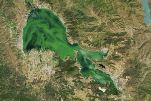 ΗΠΑ: Τοξικά φύκια έκαναν τόσο πράσινη μια λίμνη που φαίνεται από το διάστημα