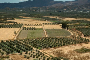 Στα άκρα για το σκάνδαλο υφαρπαγής νερού στη Μεσαρά: Συνελήφθη και οδηγείται στον εισαγγελέα ο πρόεδρος του ΤΟΕΒ Τυμπακίου