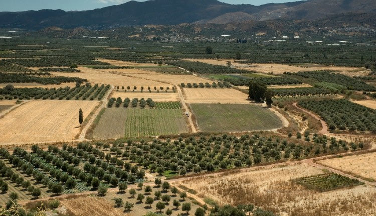 Στα άκρα για το σκάνδαλο υφαρπαγής νερού στη Μεσαρά: Συνελήφθη και οδηγείται στον εισαγγελέα ο πρόεδρος του ΤΟΕΒ Τυμπακίου