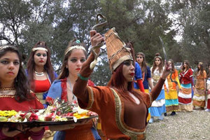 Αιωνόβια ελιά, αυτή η μικρή