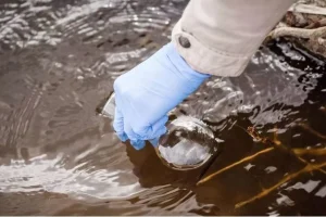 Μαγνησία: Ομαδική αγωγή για την δηλητηρίαση των παιδιών από σαλμονέλα σε Ριζόμυλο και Στεφανοβίκειο