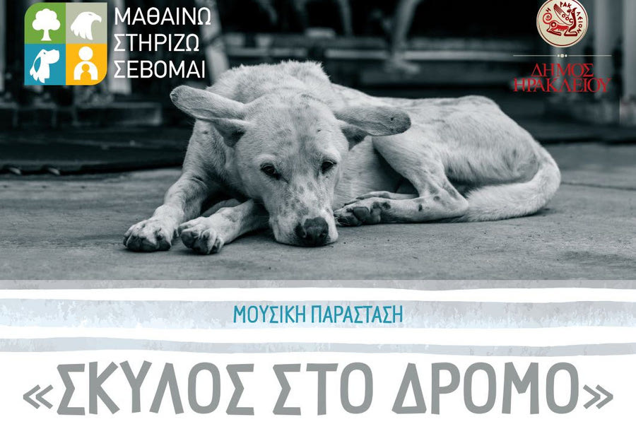 Μουσική παράσταση «Σκύλος στο Δρόμο»  στο κηποθέατρο “Μάνος Χατζιδάκις”