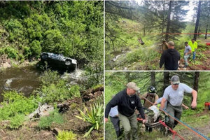 Σκύλος έτρεξε 6,5 χλμ. για να βρει βοήθεια για τον ιδιοκτήτη του έπειτα από τροχαίο