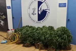 Έφτιαξε θερμοκήπιο… κάνναβης στη Θεσσαλονίκη